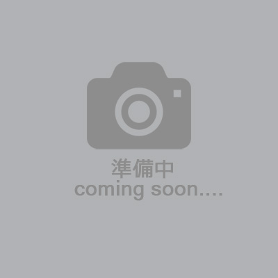 アドバンス300#